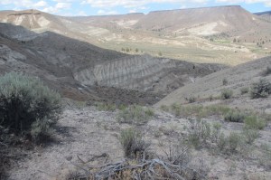 Looking out over the fossil gardens