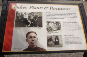 Doc Hay and his story