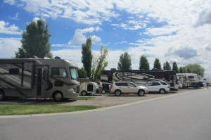 The Lil Guy was dwarfed